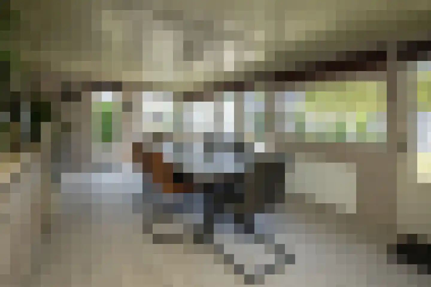 Dr. Harm Smeengestraat 44 Slootdorp thumbnail 16
