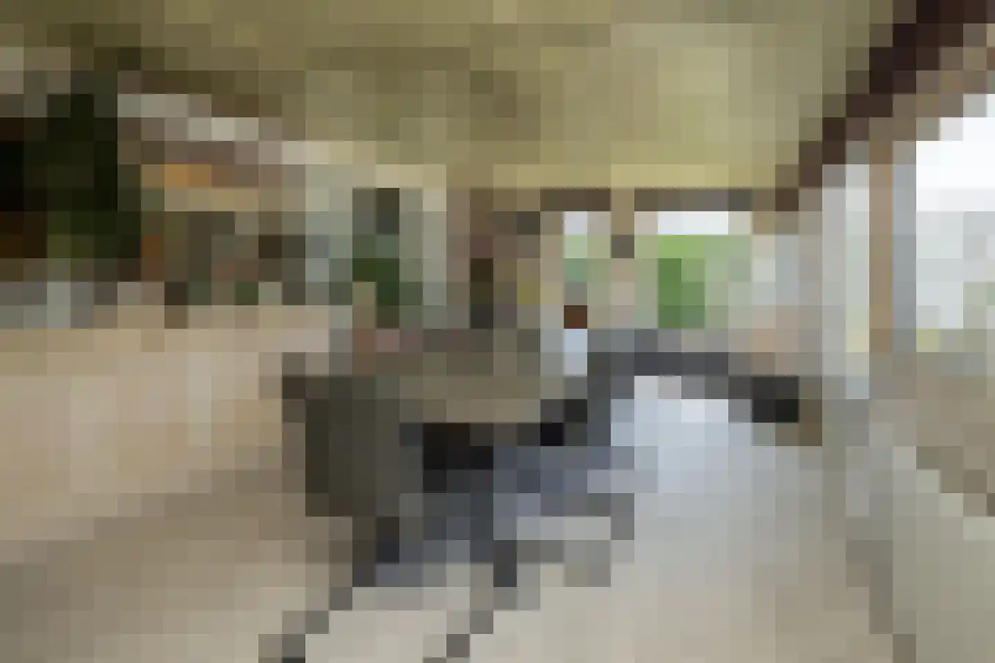 Dr. Harm Smeengestraat 44 Slootdorp thumbnail 17