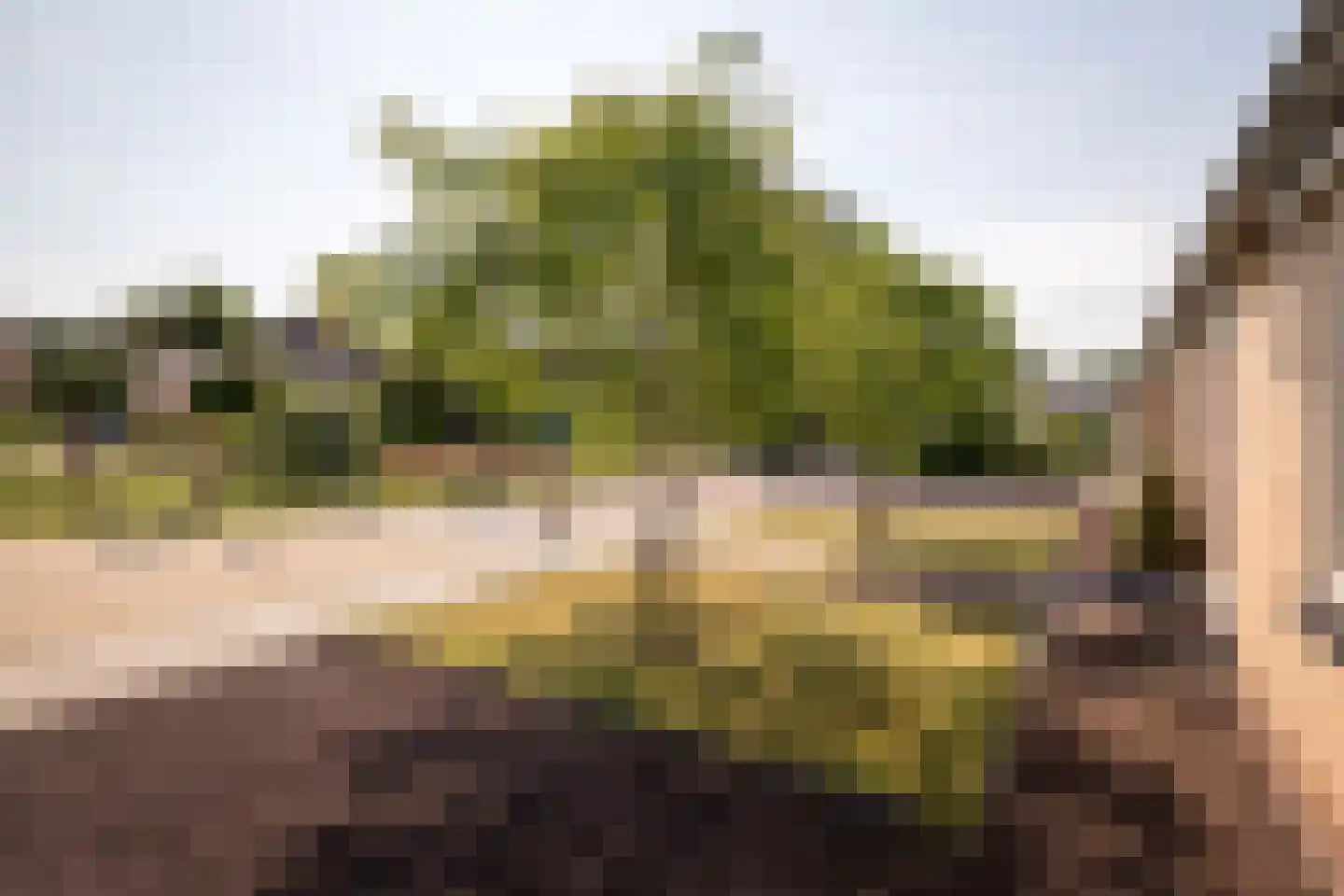 Dr. Harm Smeengestraat 44 Slootdorp thumbnail 39