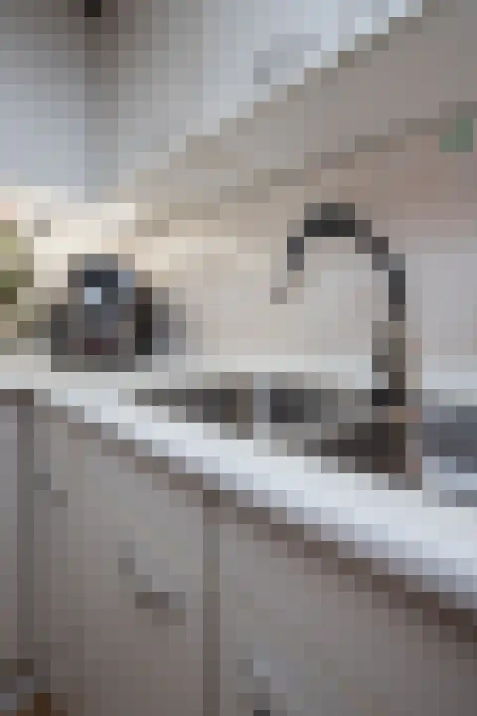 Dr. Harm Smeengestraat 44 Slootdorp thumbnail 45