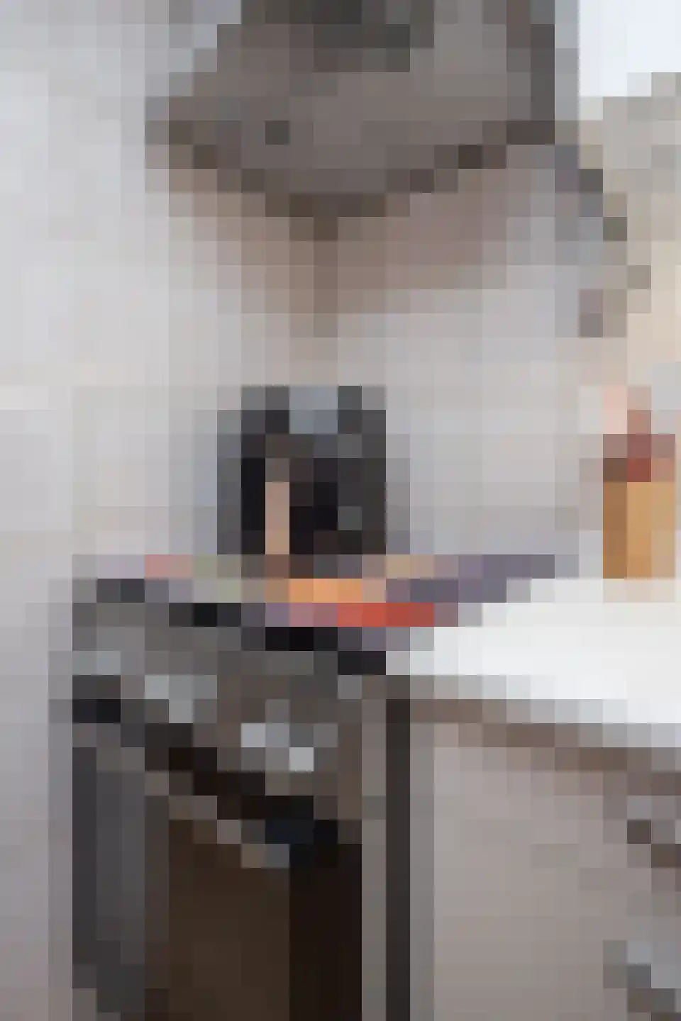 Dr. Harm Smeengestraat 44 Slootdorp thumbnail 46