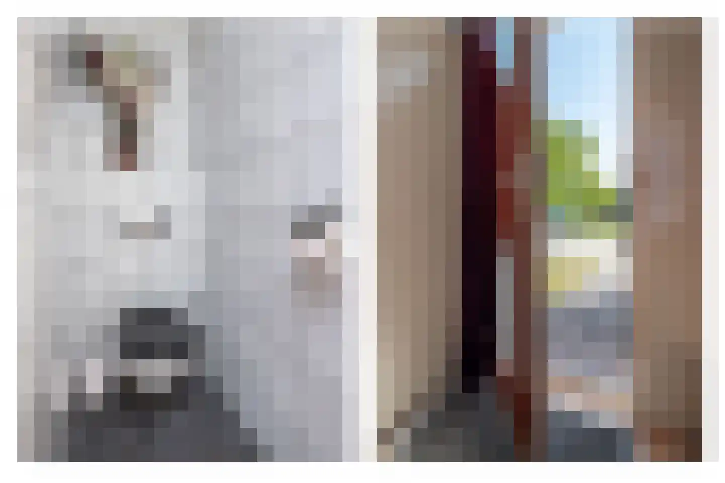 Dr. Harm Smeengestraat 44 Slootdorp thumbnail 6