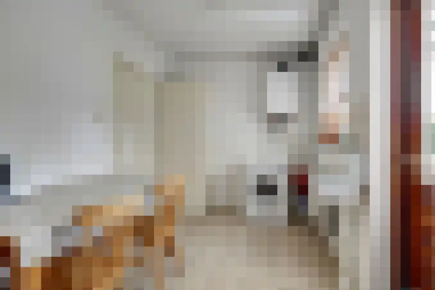 Dr. Harm Smeengestraat 48 Slootdorp thumbnail 18