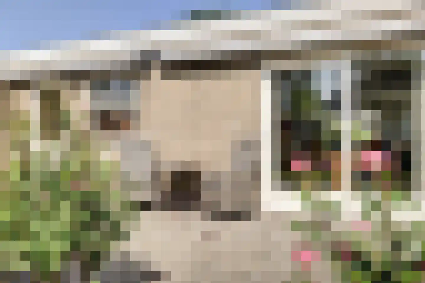 Dr. Harm Smeengestraat 48 Slootdorp thumbnail 31