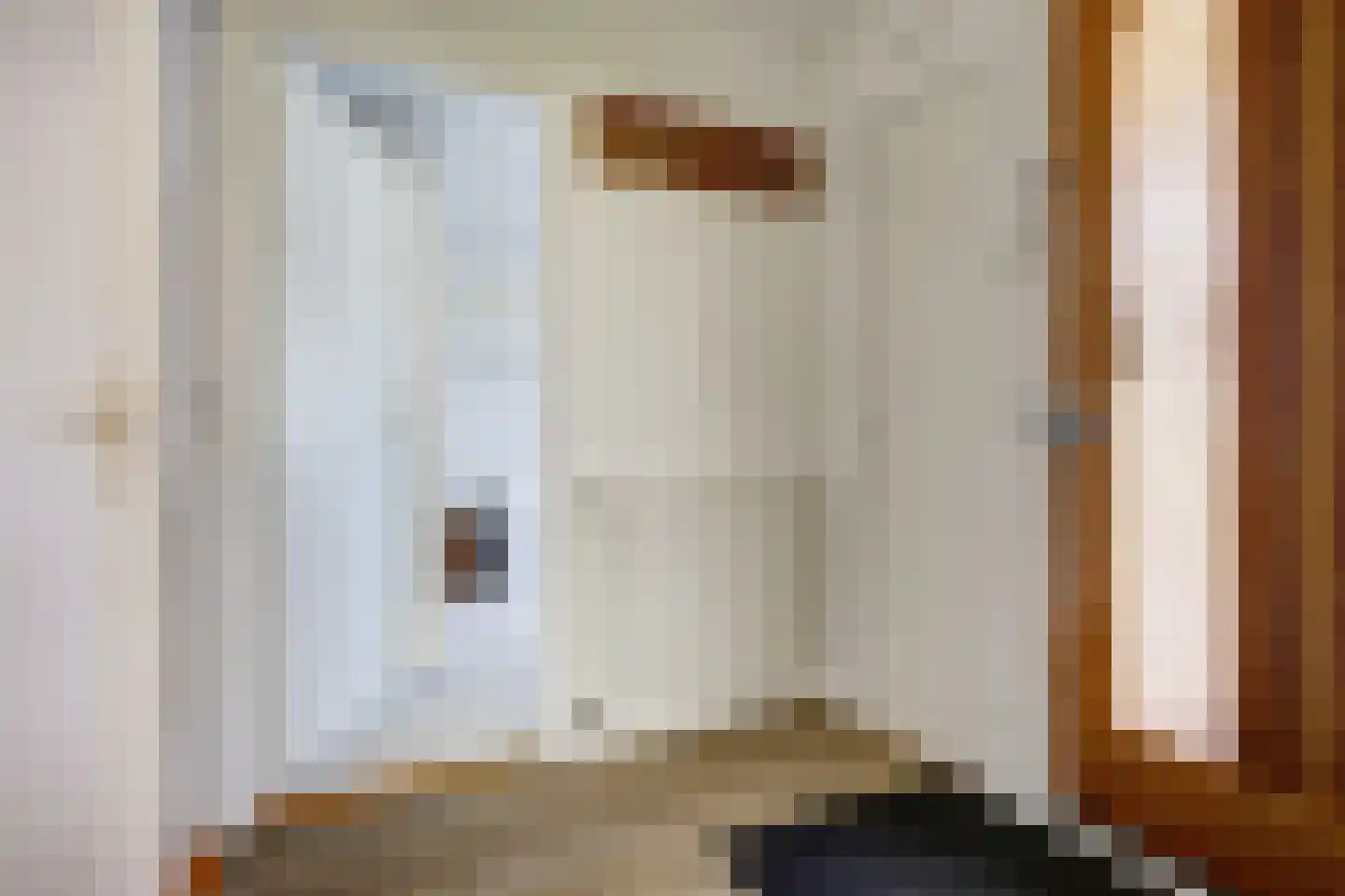 Dr. Harm Smeengestraat 48 Slootdorp thumbnail 7