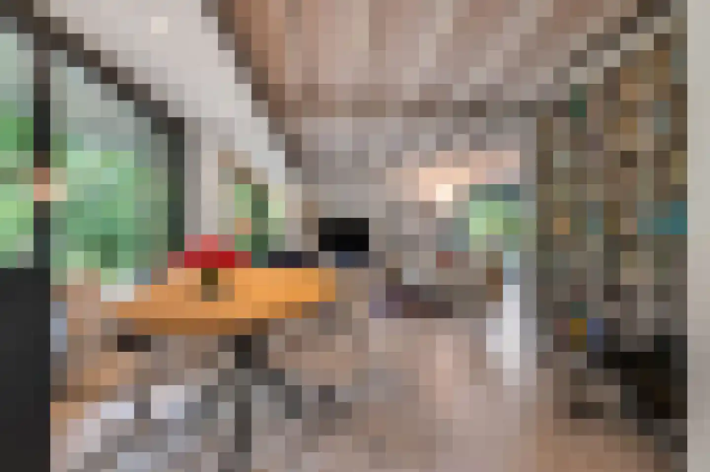 Dr. Hartogsweg 62 B Ede thumbnail 11