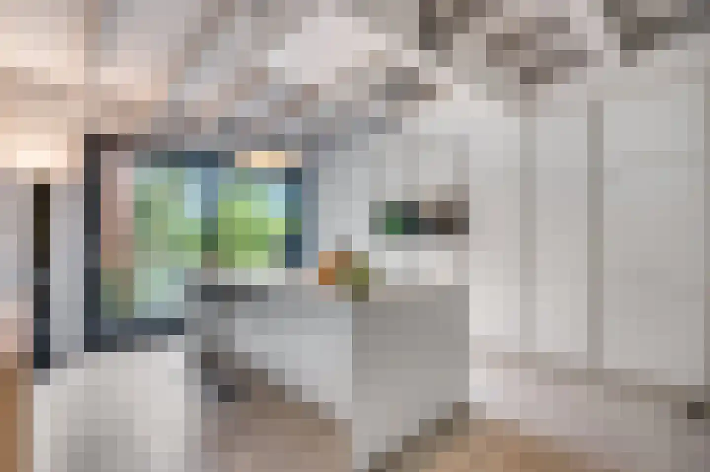 Dr. Hartogsweg 62 B Ede thumbnail 12