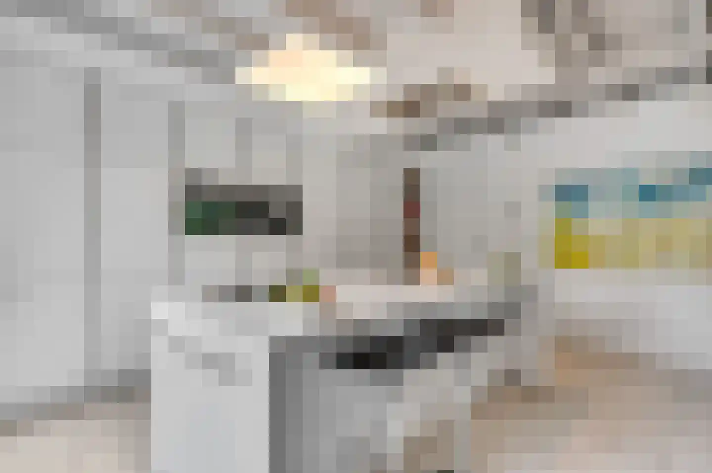 Dr. Hartogsweg 62 B Ede thumbnail 13
