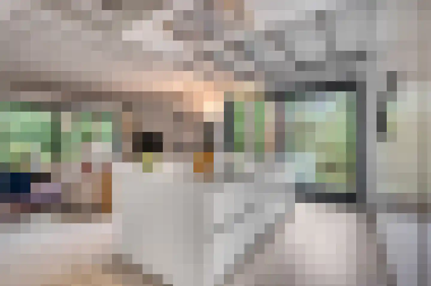 Dr. Hartogsweg 62 B Ede thumbnail 15