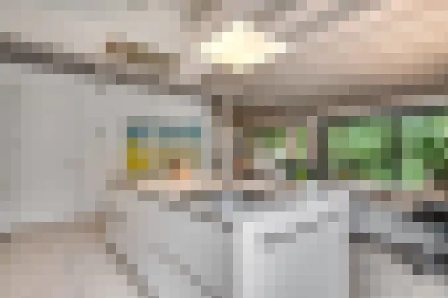 Dr. Hartogsweg 62 B Ede thumbnail 16