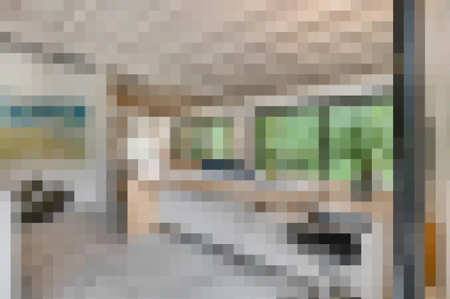 Dr. Hartogsweg 62 B Ede thumbnail 17