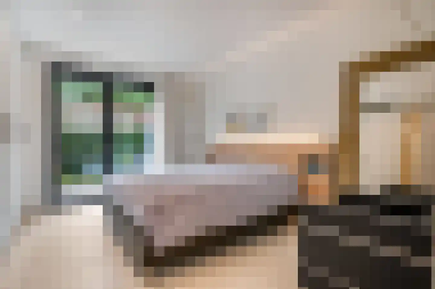 Dr. Hartogsweg 62 B Ede thumbnail 18