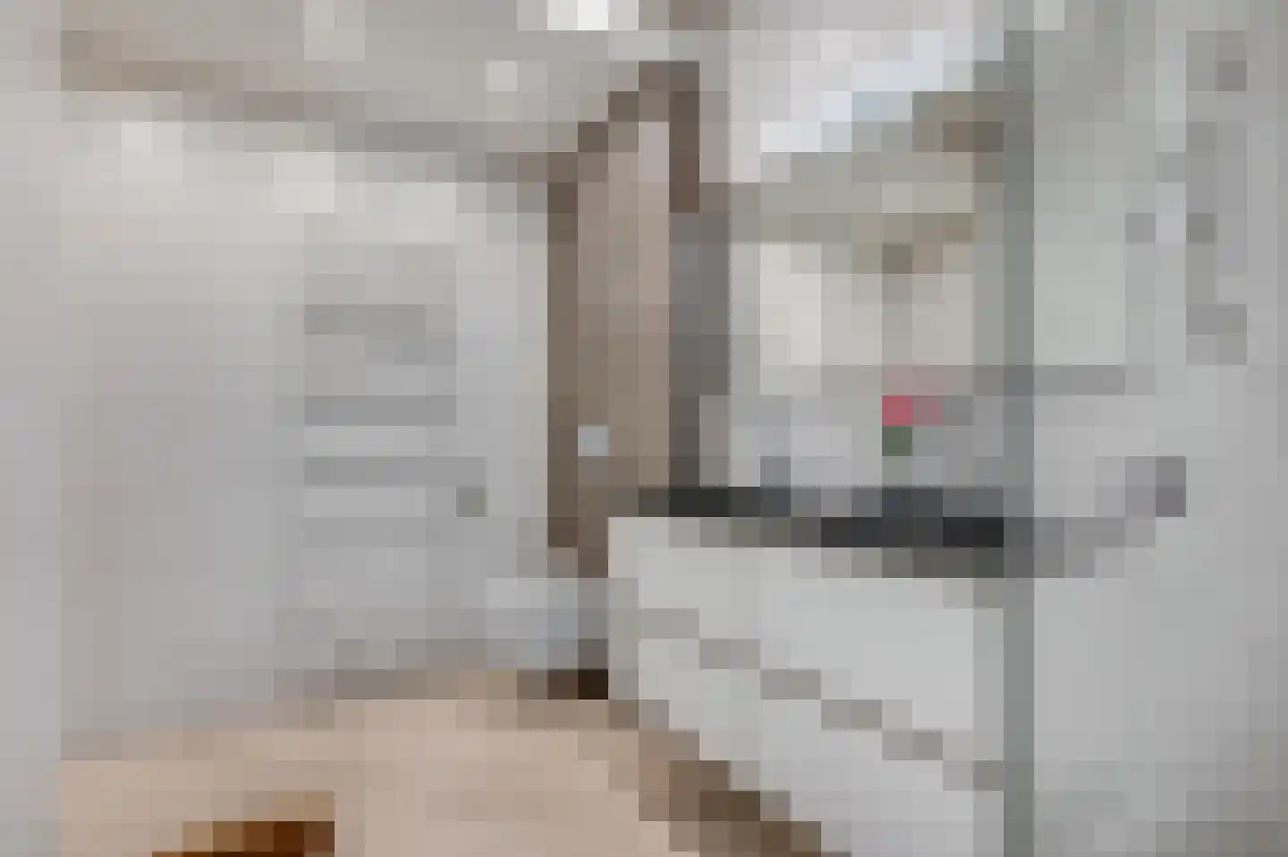 Dr. Hartogsweg 62 B Ede thumbnail 21