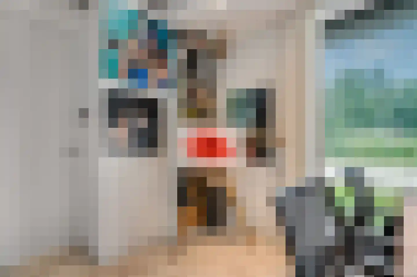 Dr. Hartogsweg 62 B Ede thumbnail 26