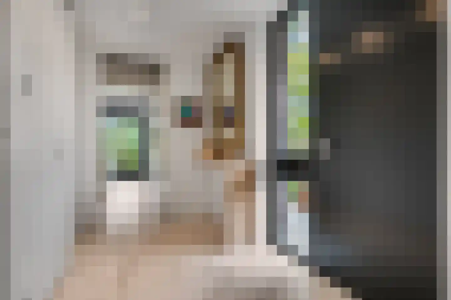 Dr. Hartogsweg 62 B Ede thumbnail 29
