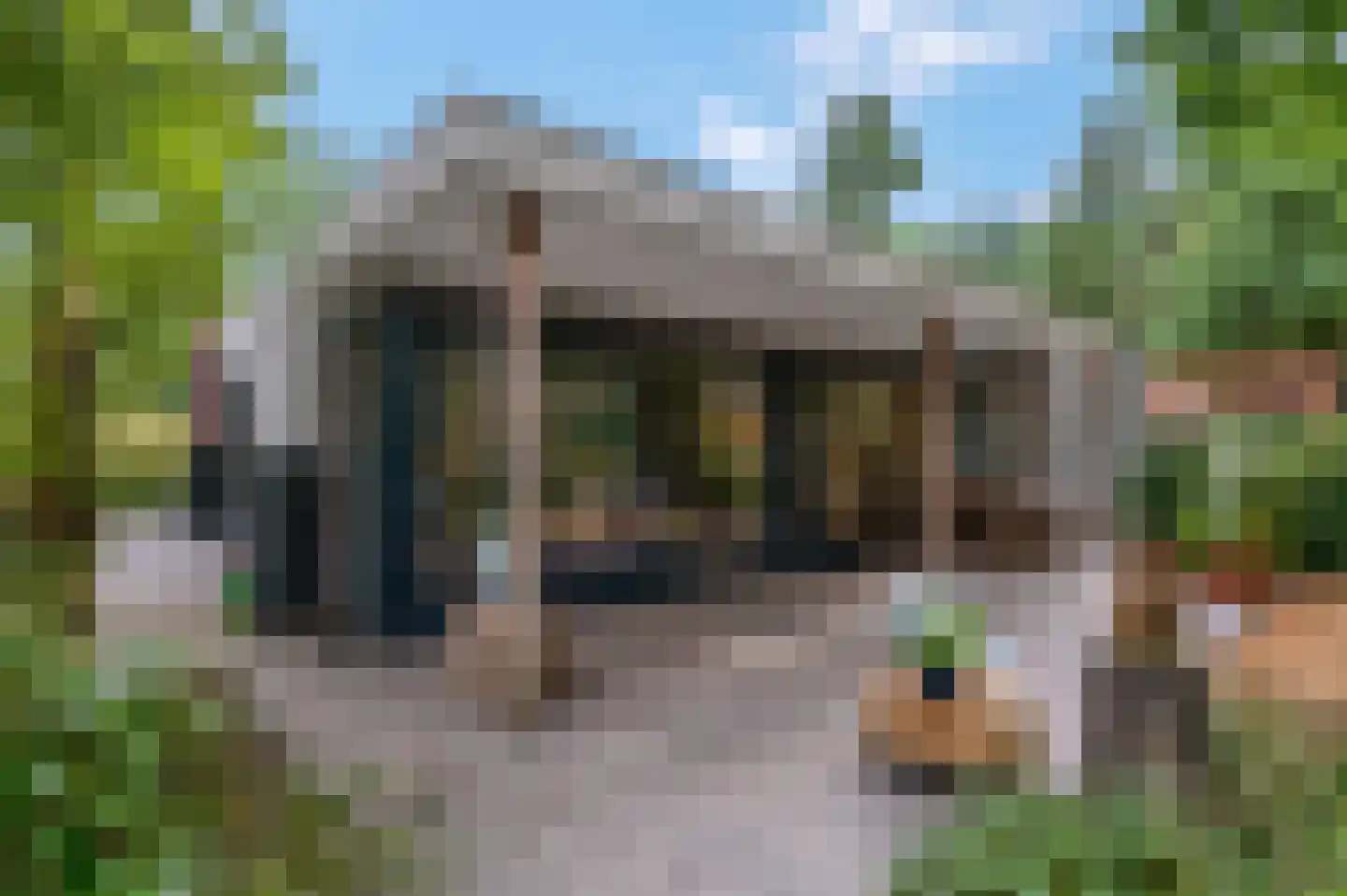 Dr. Hartogsweg 62 B Ede thumbnail 30