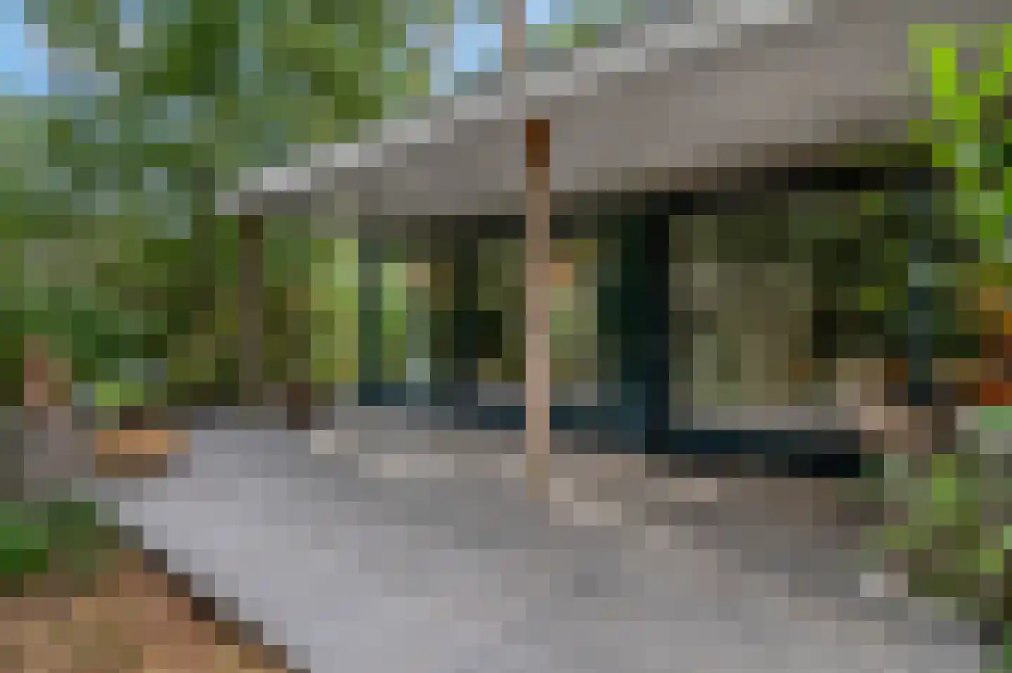 Dr. Hartogsweg 62 B Ede thumbnail 33