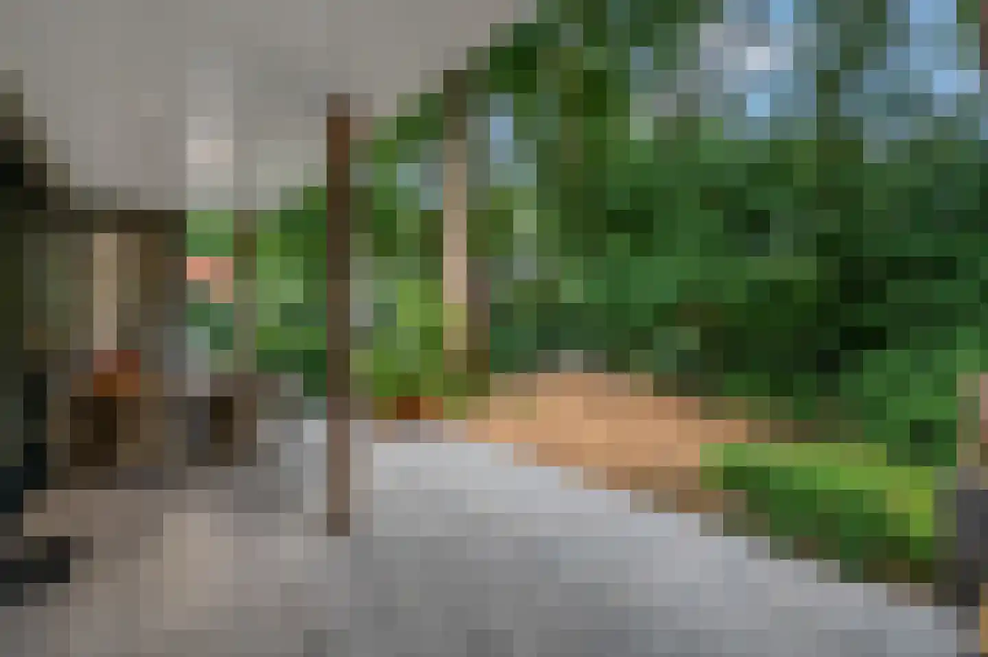 Dr. Hartogsweg 62 B Ede thumbnail 34