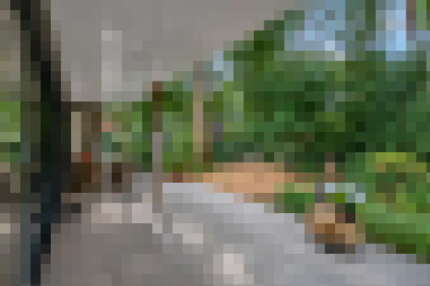 Dr. Hartogsweg 62 B Ede thumbnail 35