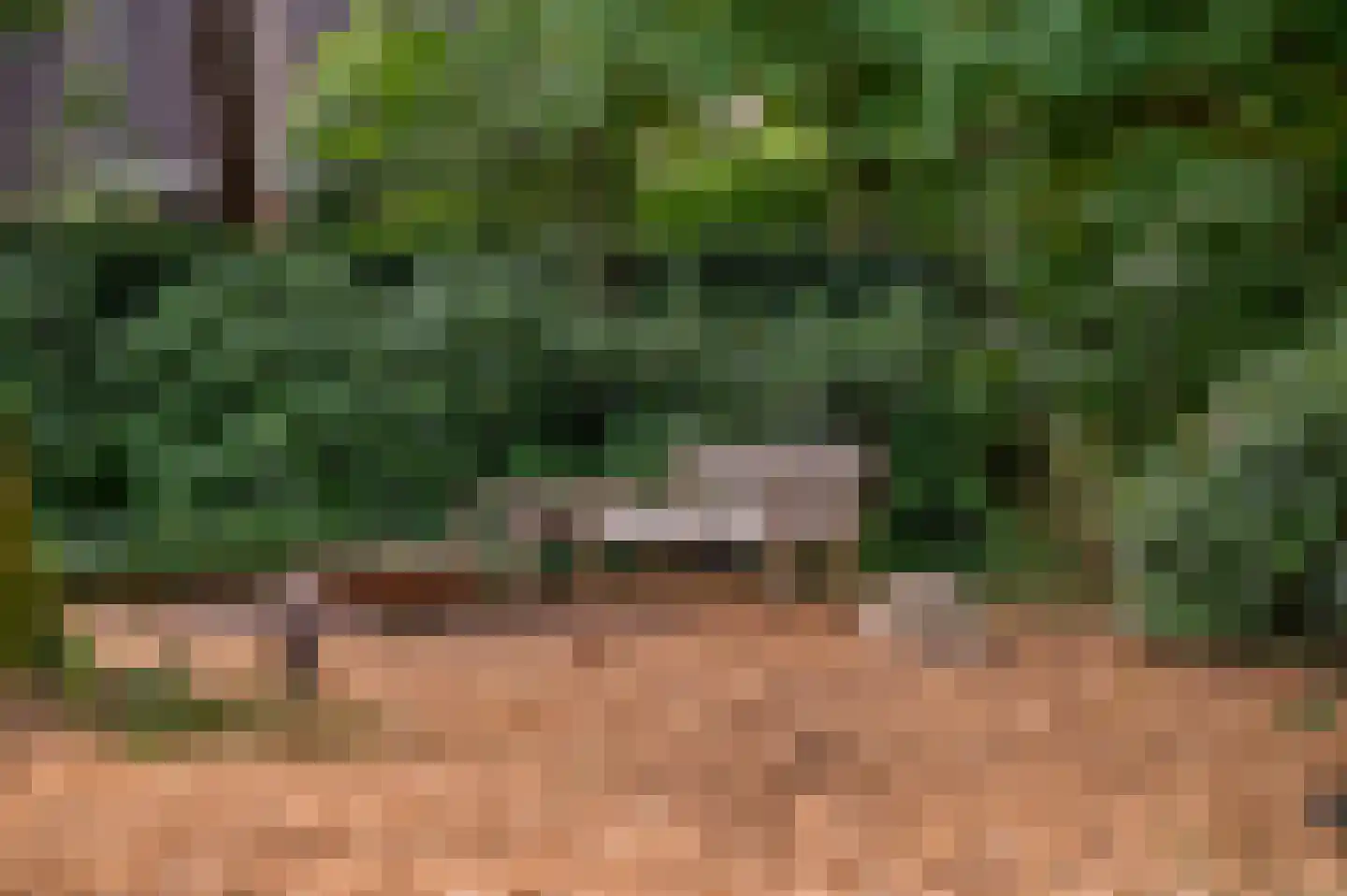 Dr. Hartogsweg 62 B Ede thumbnail 36