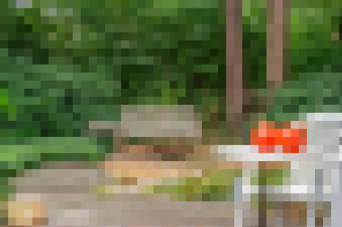 Dr. Hartogsweg 62 B Ede thumbnail 37