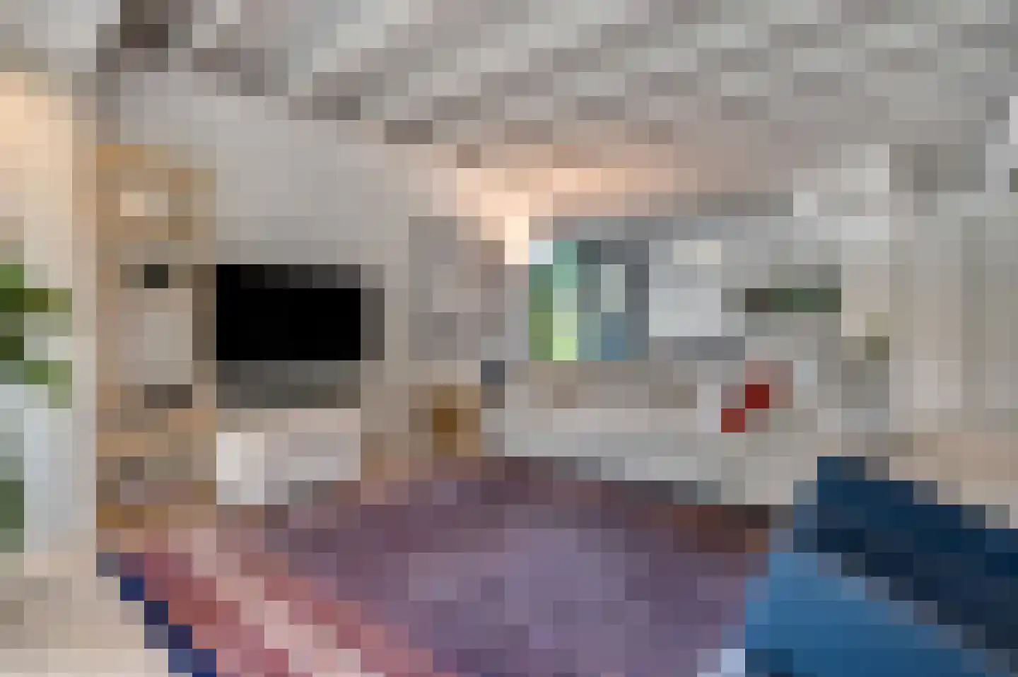 Dr. Hartogsweg 62 B Ede thumbnail 4