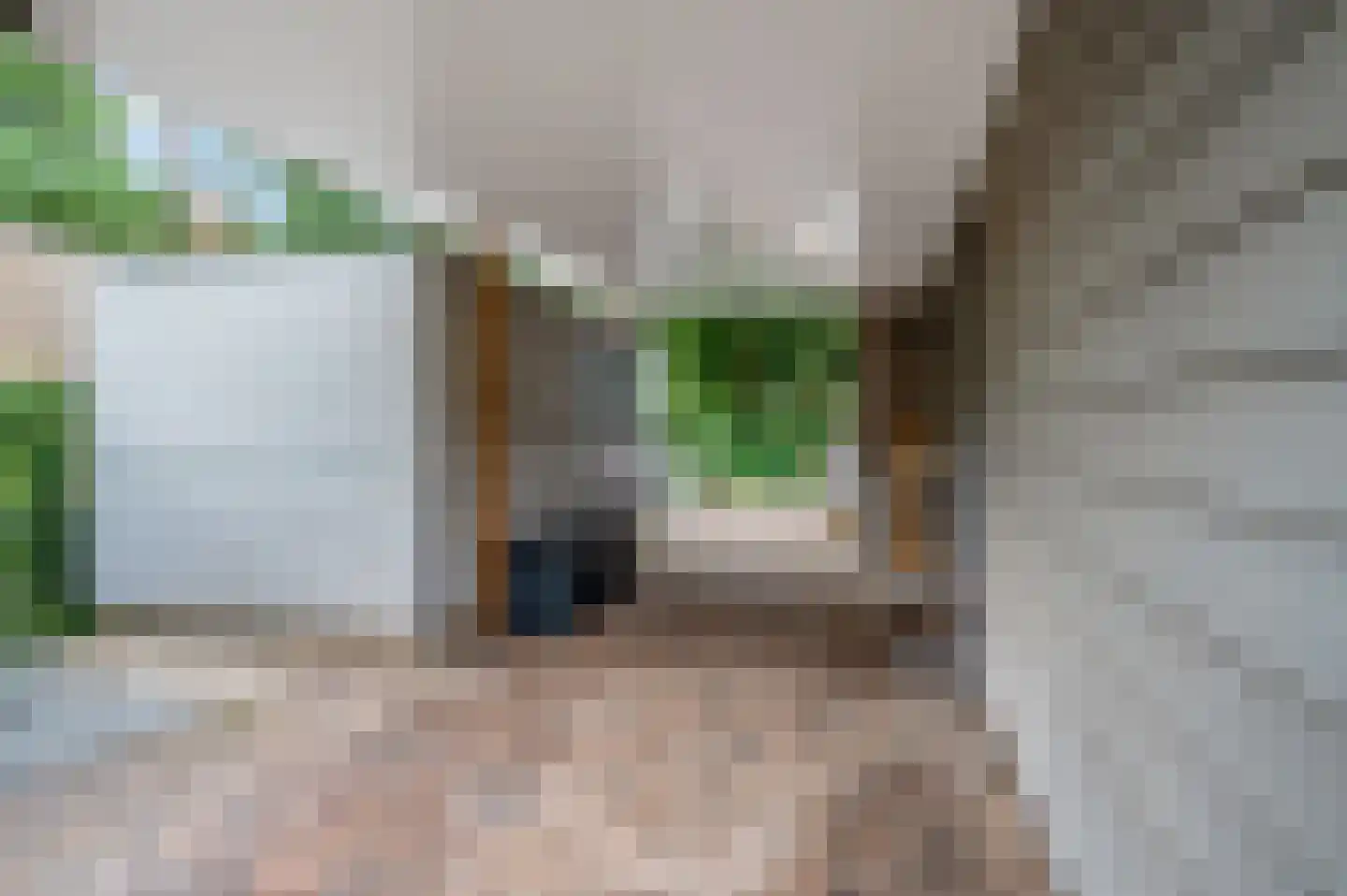 Dr. Hartogsweg 62 B Ede thumbnail 41