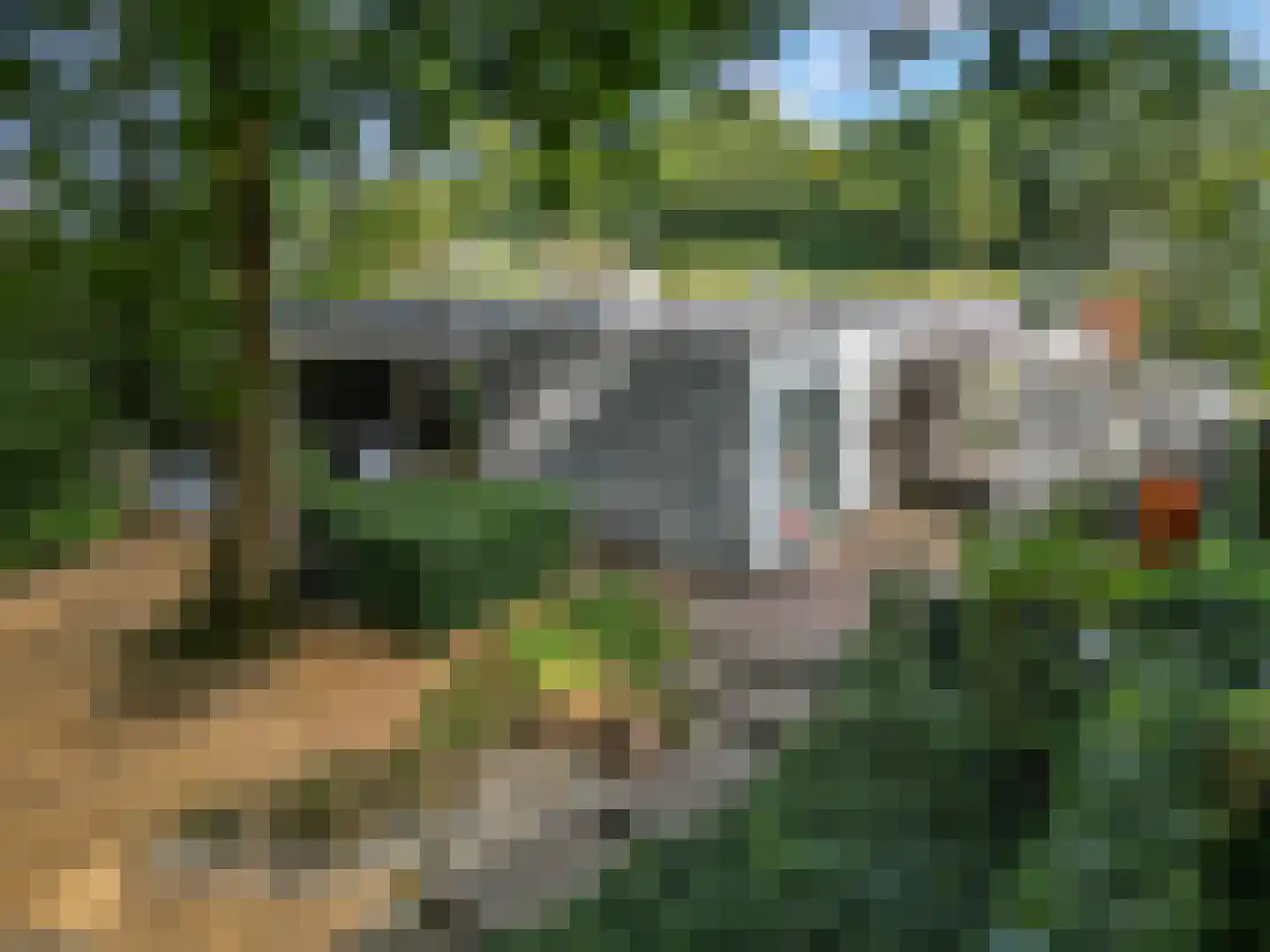 Dr. Hartogsweg 62 B Ede thumbnail 47