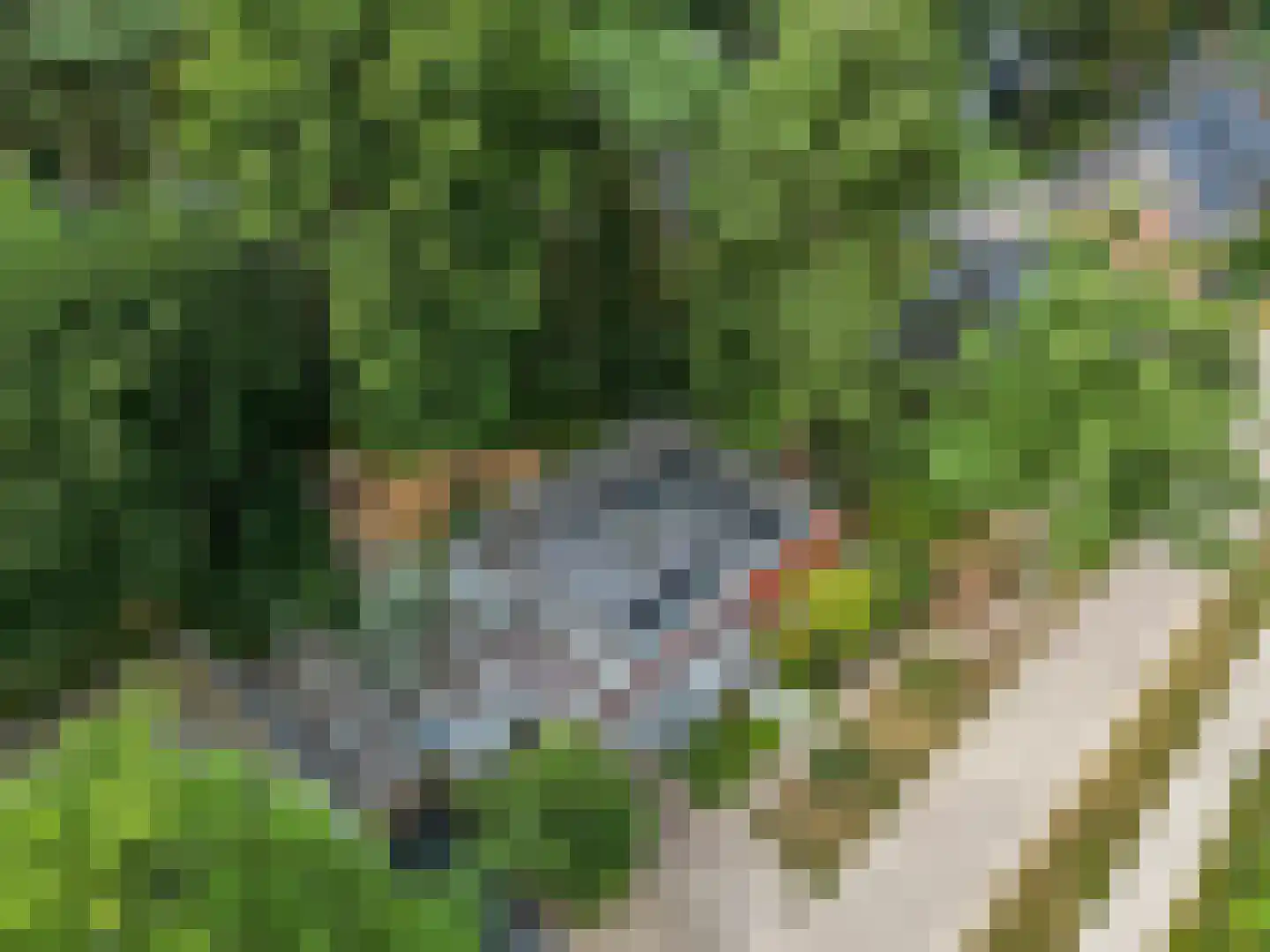 Dr. Hartogsweg 62 B Ede thumbnail 48