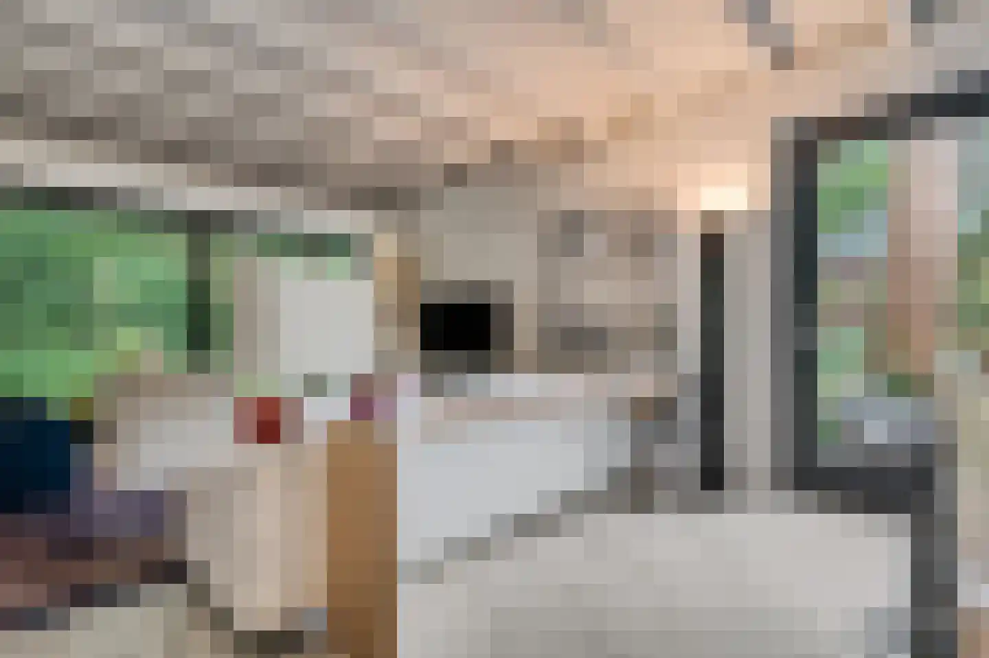 Dr. Hartogsweg 62 B Ede thumbnail 7