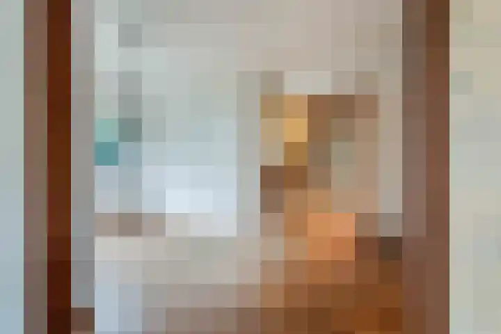 Dr HAW van der Vechtlaan 2 Hasselt thumbnail 13