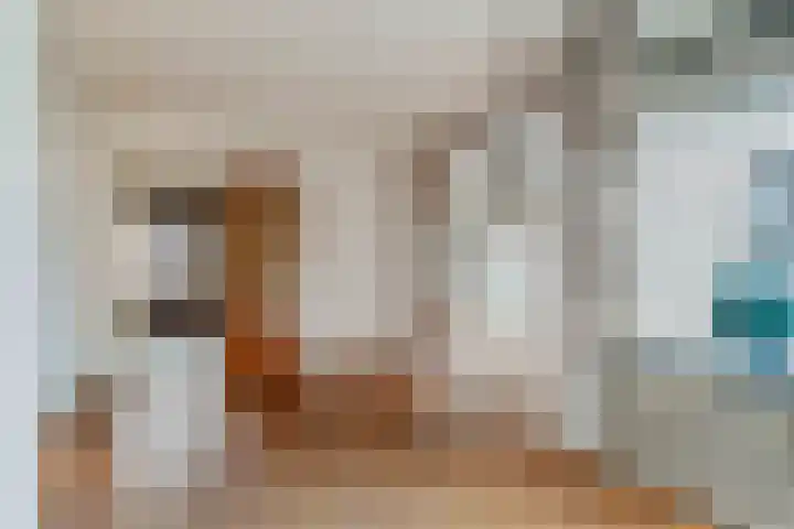 Dr HAW van der Vechtlaan 2 Hasselt thumbnail 16