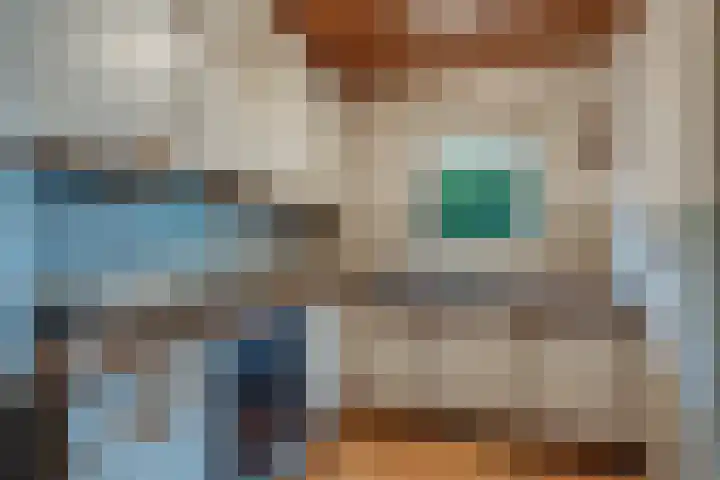 Dr HAW van der Vechtlaan 2 Hasselt thumbnail 18