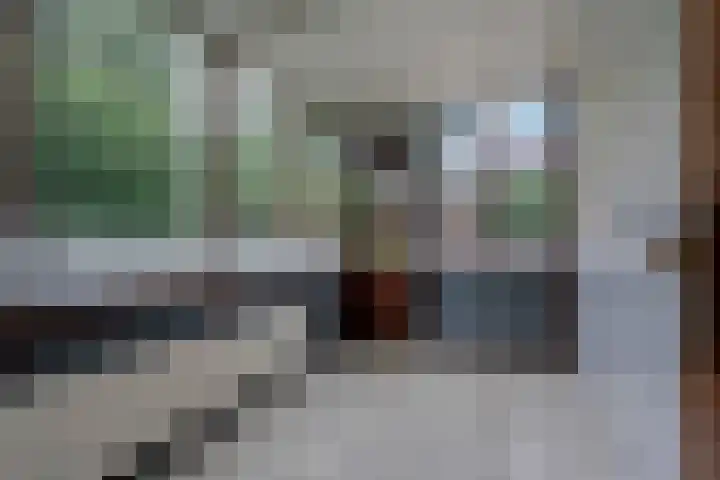 Dr HAW van der Vechtlaan 2 Hasselt thumbnail 19