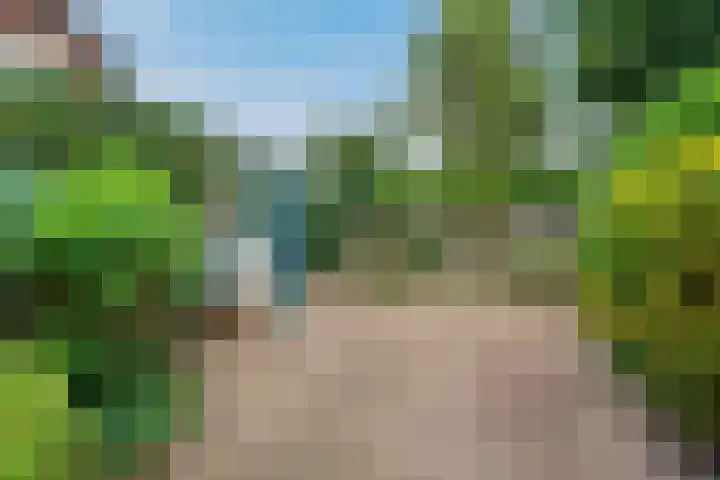Dr HAW van der Vechtlaan 2 Hasselt thumbnail 21