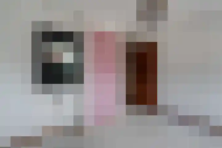 Dr HAW van der Vechtlaan 2 Hasselt thumbnail 28