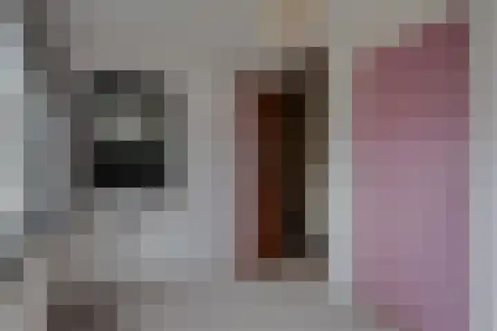 Dr HAW van der Vechtlaan 2 Hasselt thumbnail 34