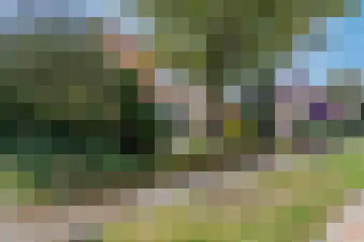 Dr HAW van der Vechtlaan 2 Hasselt thumbnail 36