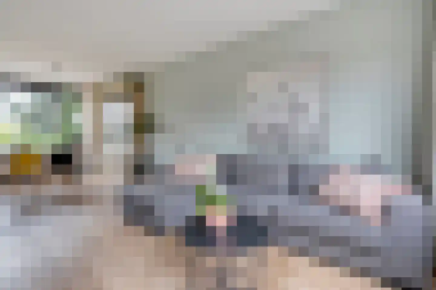 Dr HAW van der Vechtlaan 22 Hasselt thumbnail 12