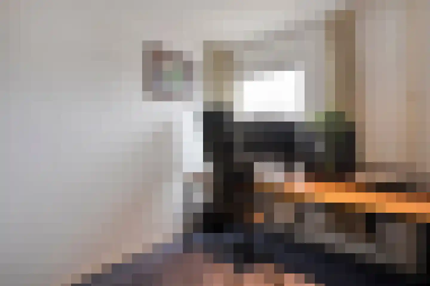 Dr HAW van der Vechtlaan 22 Hasselt thumbnail 26