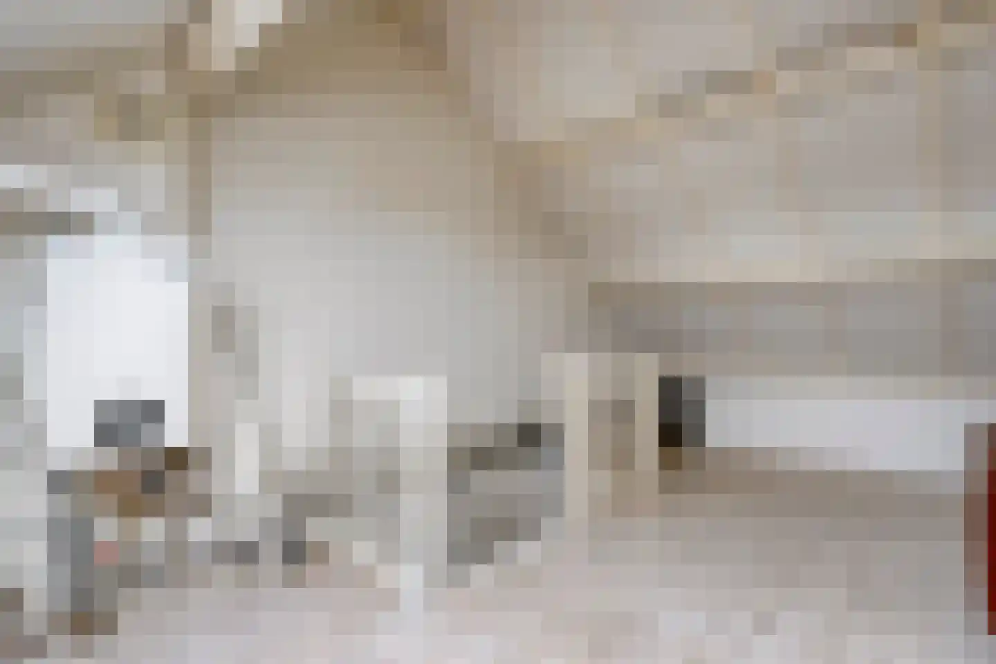 Dr HAW van der Vechtlaan 22 Hasselt thumbnail 31