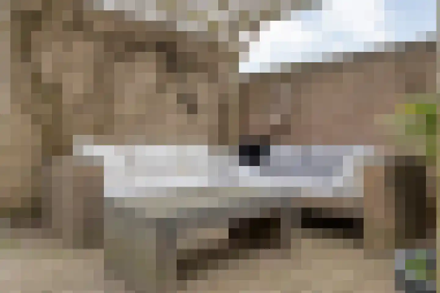 Dr HAW van der Vechtlaan 22 Hasselt thumbnail 36