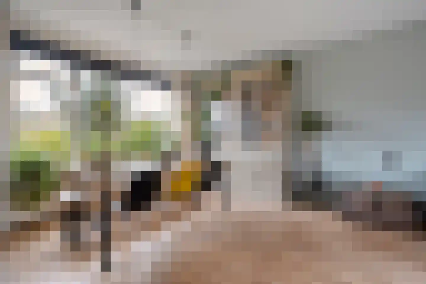 Dr HAW van der Vechtlaan 22 Hasselt thumbnail 4