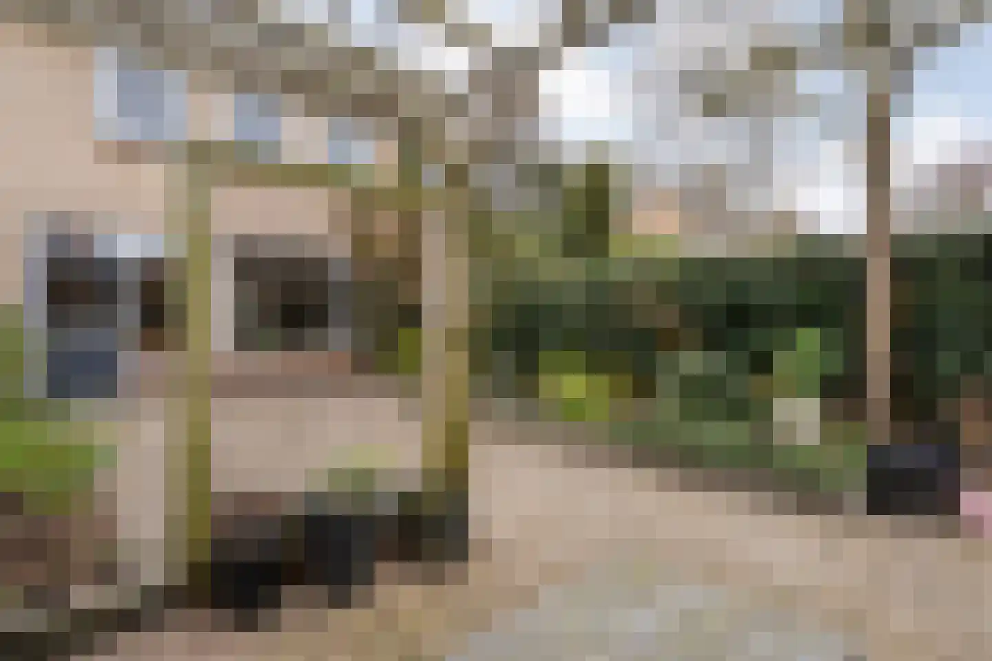 Dr HAW van der Vechtlaan 22 Hasselt thumbnail 40