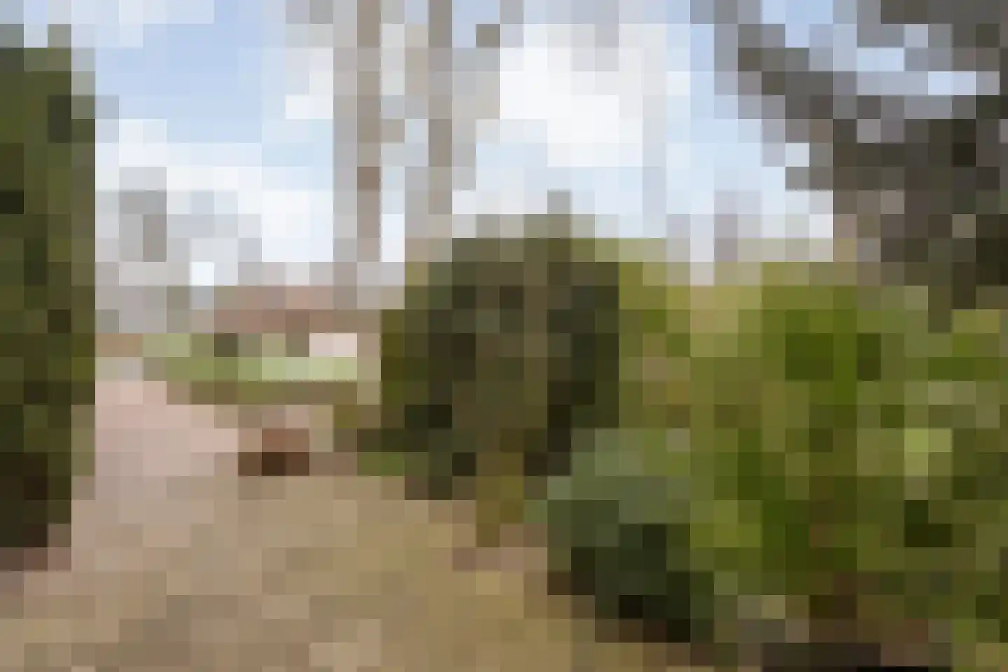 Dr HAW van der Vechtlaan 22 Hasselt thumbnail 43