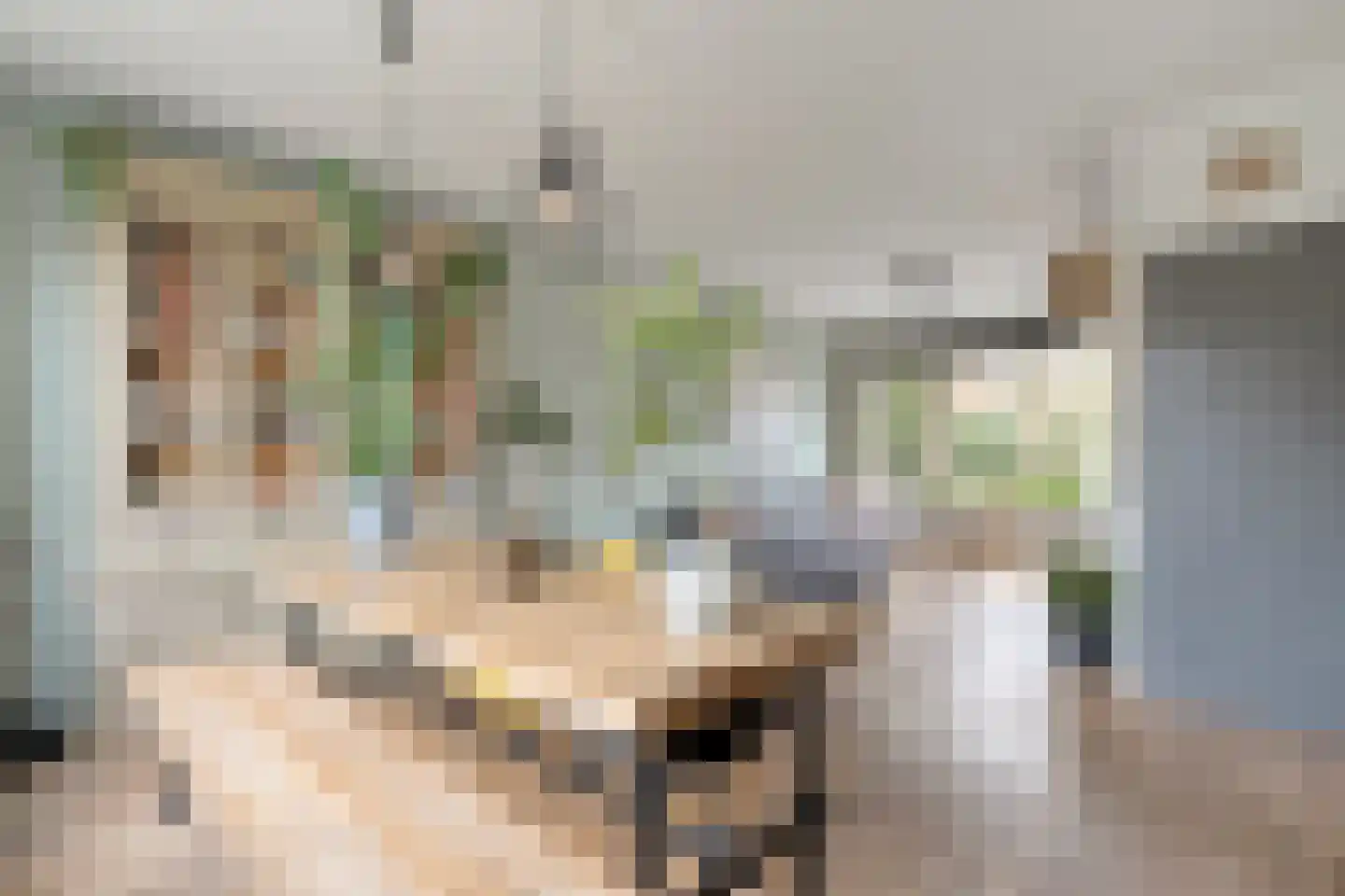 Dr HAW van der Vechtlaan 22 Hasselt thumbnail 5