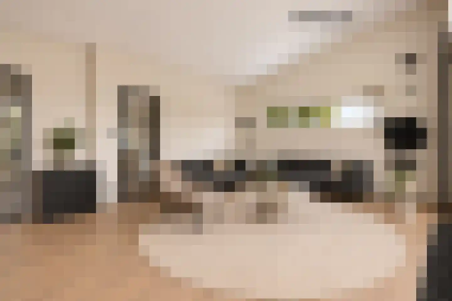 Dr HAW van der Vechtlaan 32 Hasselt thumbnail 29