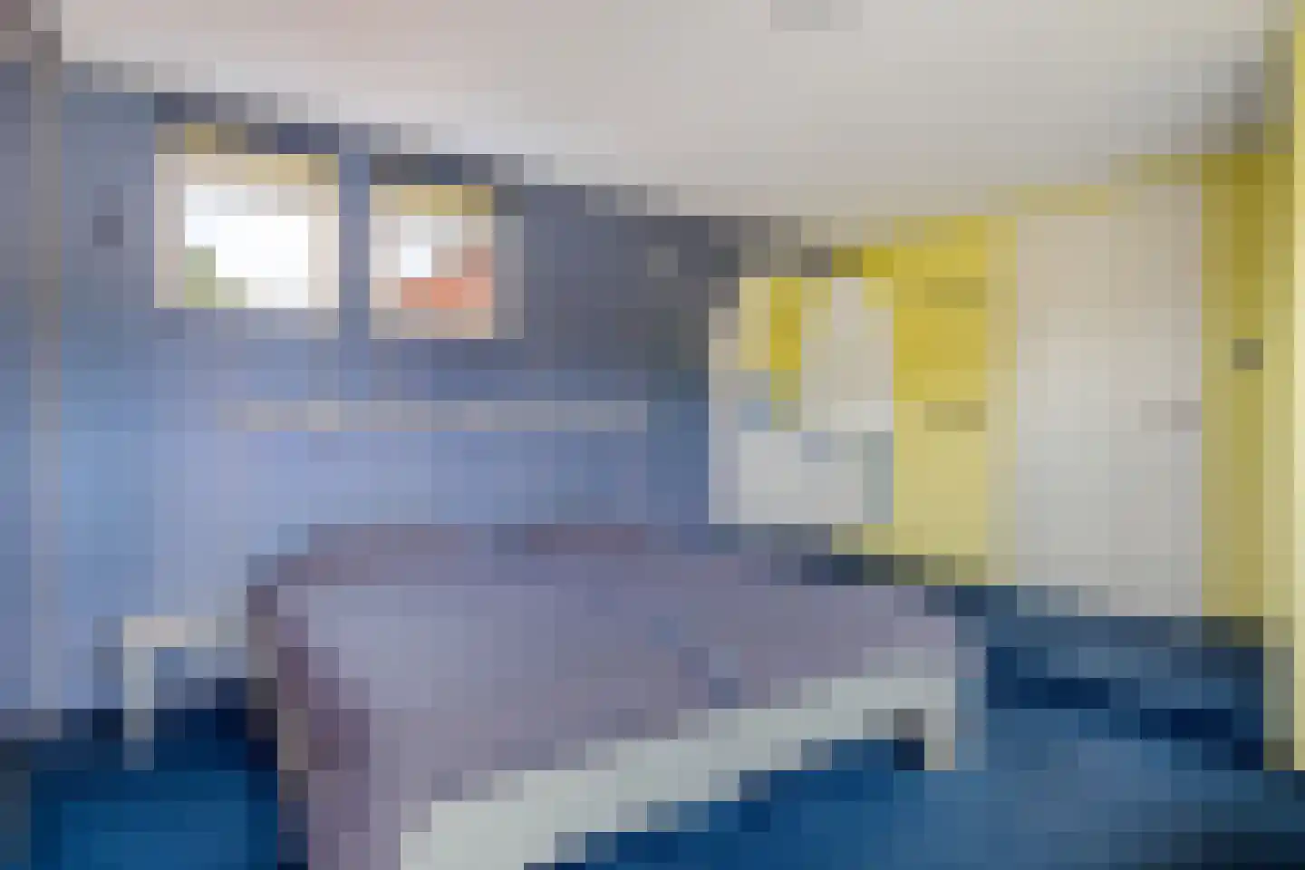 Dr HAW van der Vechtlaan 32 Hasselt thumbnail 33