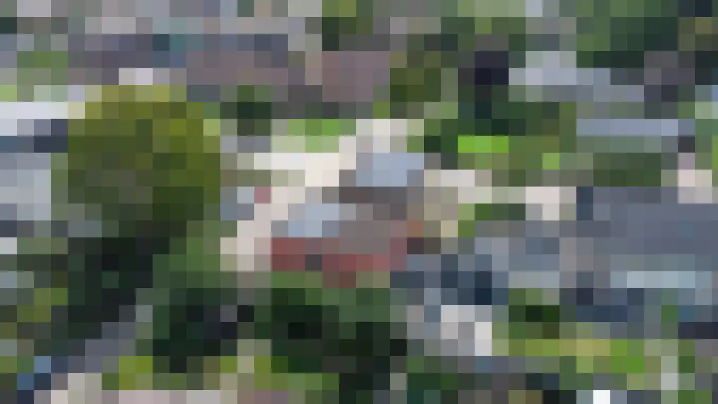 Dr HAW van der Vechtlaan 32 Hasselt thumbnail 46