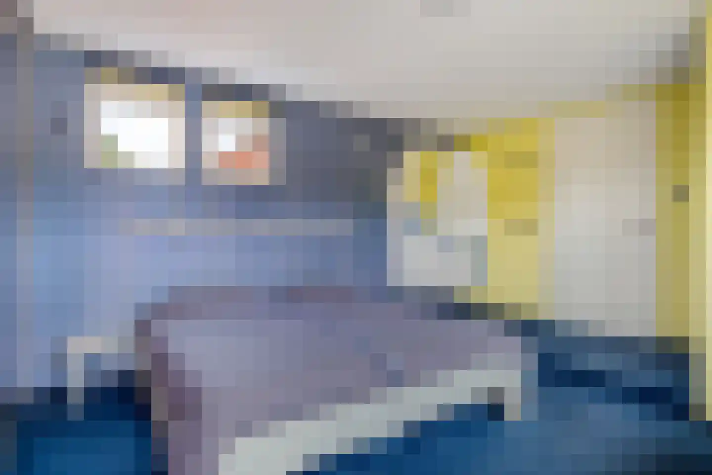 Dr HAW van der Vechtlaan 32 Hasselt thumbnail 52